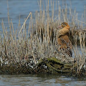 aacomp nordfriesland 20140503 1169