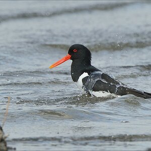 aacomp nordfriesland 20140503 1437