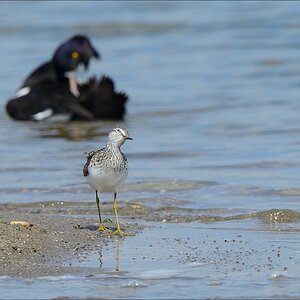 aacomp nordfriesland 20140503 1423