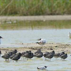 aacomp nordfriesland 20140503 1503