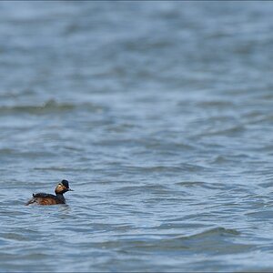 aacomp nordfriesland 20140503 1335