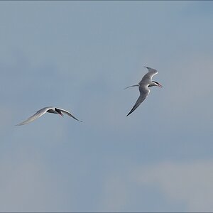 aacomp nordfriesland 20140503 0599