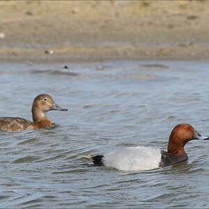 aacomp nordfriesland 20140503 1213