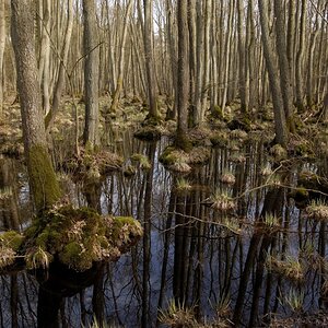 DSC5262 01_x