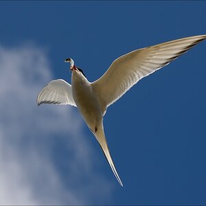 aacomp nordfriesland 20140503 2370