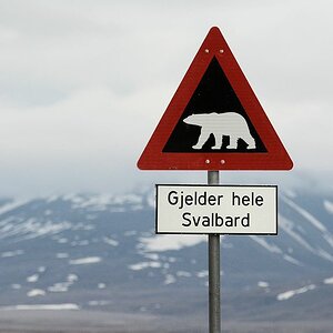 Warnschild vor Eisbären
Gilt für ganz Svalbard
0934