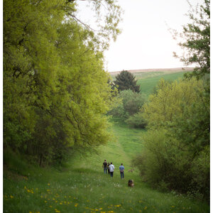 westerwald