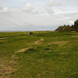 Strandgut am Sahlenburger Geestsporn 7001320x