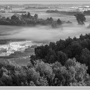 Morgennebel