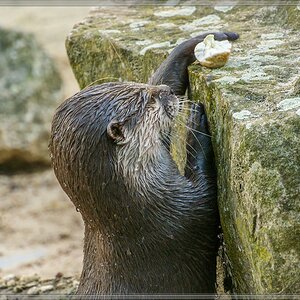 20140515 3085 [NIKON 1 V3] 110 mm,1 80 Sek. bei ƒ   5,6