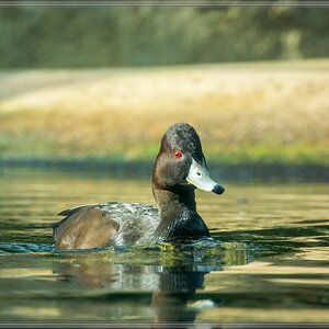20140515 3257 [NIKON 1 V3] 110 mm,1 400 Sek. bei ƒ   5,6