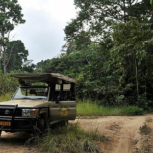 s625 Safariauto im Lope Nationalpark 5739