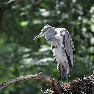 DSC 6420 khg