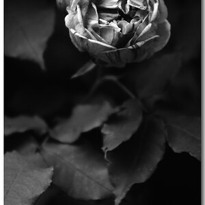 KR DSC 0854 1 SW