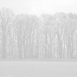 KR DSC 0186 1 2 o