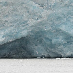 Gletschertor Nordenskiöldbreen
5768