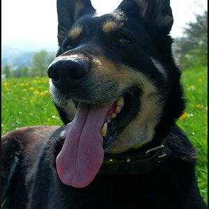 Kira