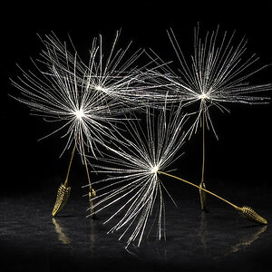 NFF Ballett