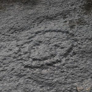 s832 Felszeichnung 6060