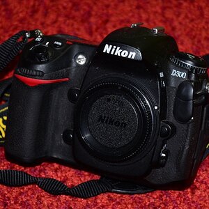 D300