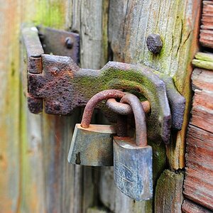 Rost