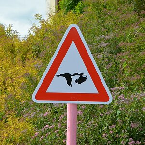 Schild Klapperstorch