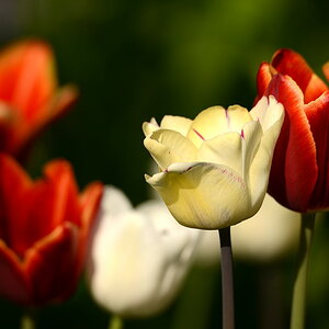 DSC 1730 25 4 14