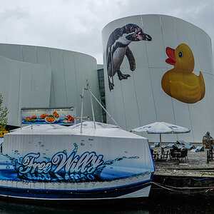 Das Ozeaneum wird bunt