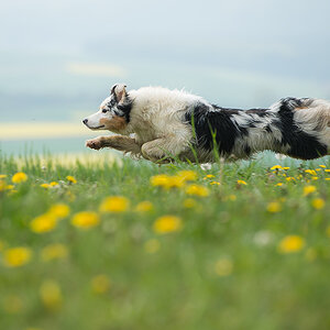 flying