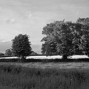 171900landschsw