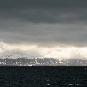 Berge im Kongsfjord
2701