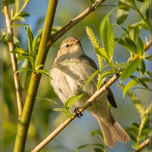 20140417 7092 [NIKON D7100] 600 mm,1 1000 Sek. bei ƒ   4,5