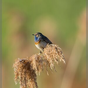 20140417 7153 [NIKON D7100] 850 mm,1 640 Sek. bei ƒ   5,6