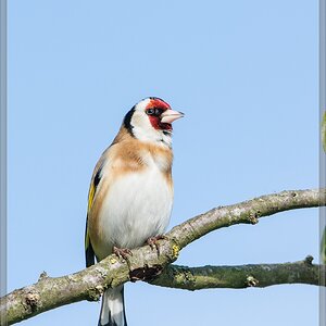 20140417 7239 [NIKON D7100] 600 mm,1 1000 Sek. bei ƒ   8,0