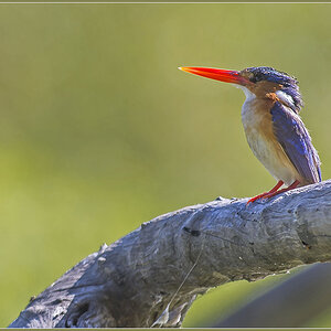 Sambia 0427
