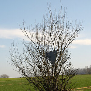 1schilder