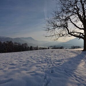 Blick auf den Vierwaldstättersee von Meggenhorn gen Rigi