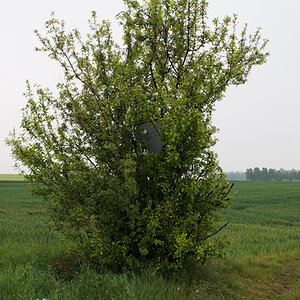 92schilder