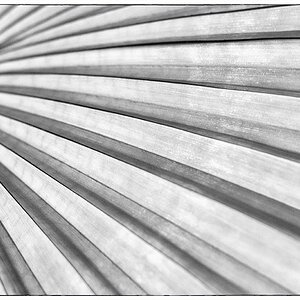 150/365