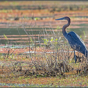 Sambia 0322