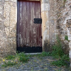 DSCN0529 01 01