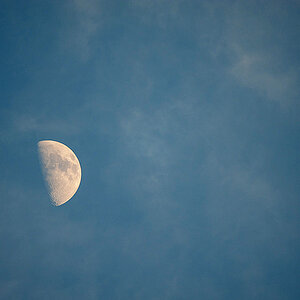 mond Tamron SP 150 600 5 6,3 DI VC USD