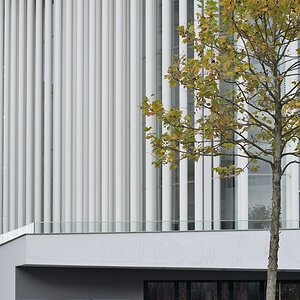 DSC 4891