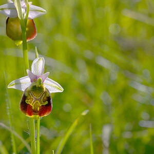 k DSC3208
