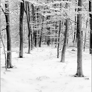 DSC 2375 Bearbeitet