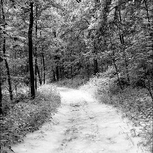 DSC 2377 Bearbeitet