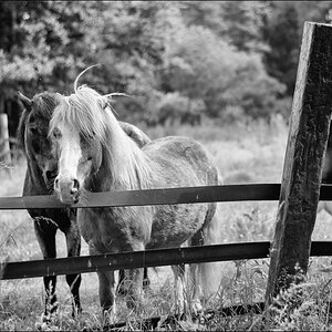 DSC 2352 Bearbeitet