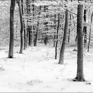 DSC 2374 Bearbeitet