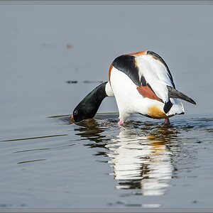 20140412 5564 [NIKON D4] 850 mm,1 1000 Sek. bei ƒ   8,0