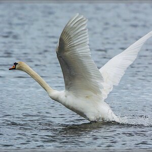 20140503 1474 [NIKON 1 V3] 380 mm,1 1250 Sek. bei ƒ   4,5
